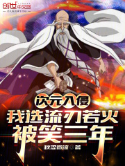 次元入侵:我选流刃若火被笑三年