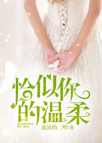 恰似你的温柔