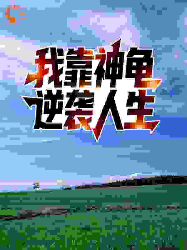 我靠神龟逆袭人生