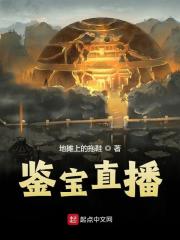 男女主人公张扬陈警官小说鉴宝直播全文免费阅读
