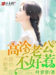 甜心小娇妻:高冷老公不好惹最新章节列表 叶萝萝小说在线阅读