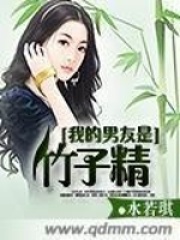 《我的男友是竹子精》免费阅读大结局全部章节