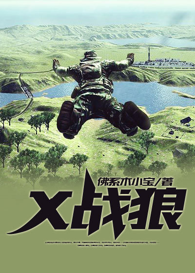 佛系木小宝（X战狼小说全文）无弹窗免费试读