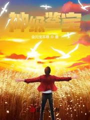 神级鉴宝全文无弹窗阅读 金泽冰妍004 统领不下马