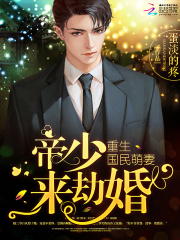 求陆承西景润小说免费资源