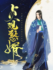 贞观憨婿
