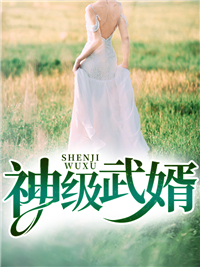 叶枫林梦瑶（神级武婿小说）精彩章节在线阅读