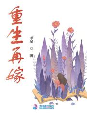 重生再嫁