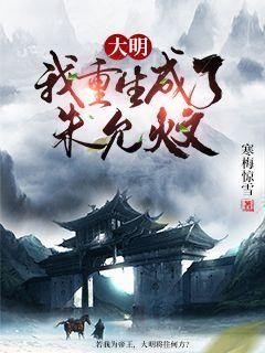 大明：我重生成了朱允炆