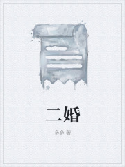 二婚全文免费阅读无弹窗完整版第10章 10