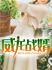 威龙战婿