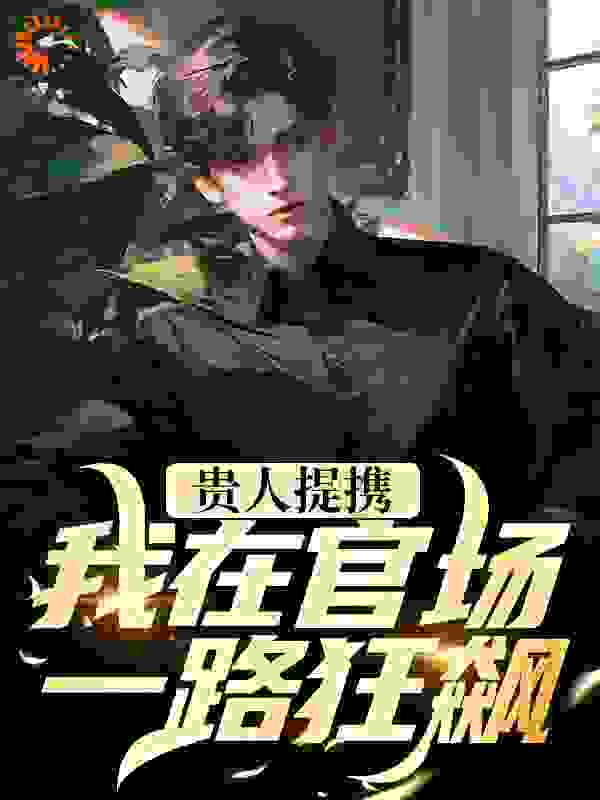 贵人提携,我在官场一路狂飙