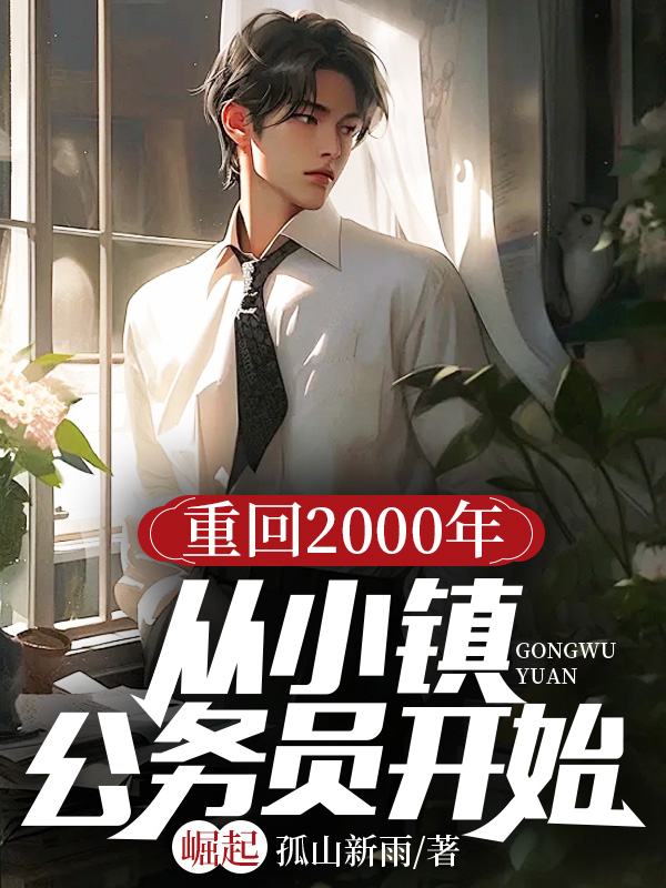 重回2000年:从小镇公务员开始崛起