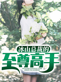 冰山总裁的至尊高手