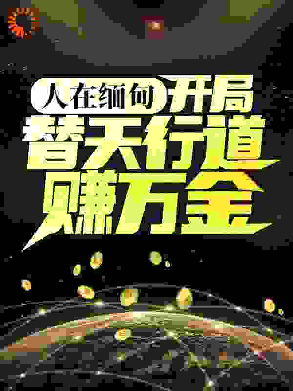 人在缅甸，开局替天行道赚万金