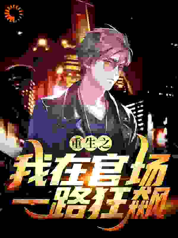 重生之我在官场一路狂飙