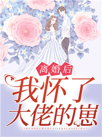 离婚后我怀了大佬的崽