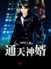 通天神婿