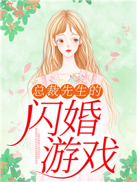 总裁先生的闪婚游戏