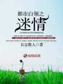 都市白领之迷情