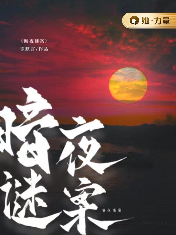 暗夜谜案