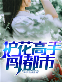 护花高手闯都市