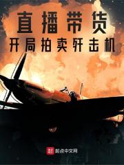 直播带货,开局拍卖歼击机