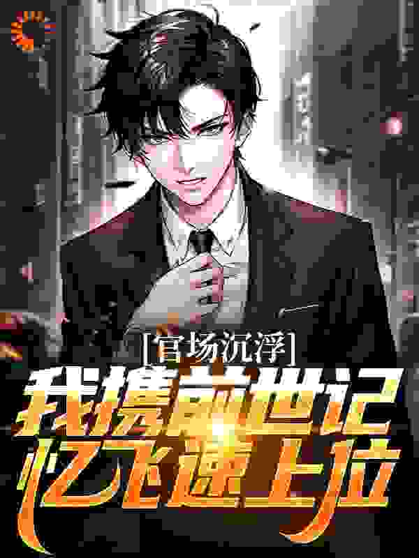 官场沉浮,我携前世记忆飞速上位