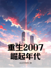 重生2007:崛起年代