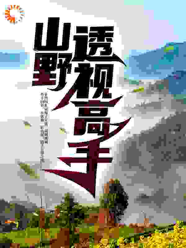 山野透视高手
