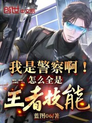 我是警察啊!怎么全是王者技能?