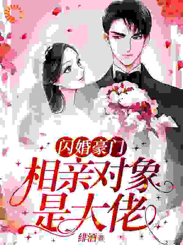 闪婚豪门：相亲对象是大佬