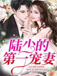 陆少的第一宠妻