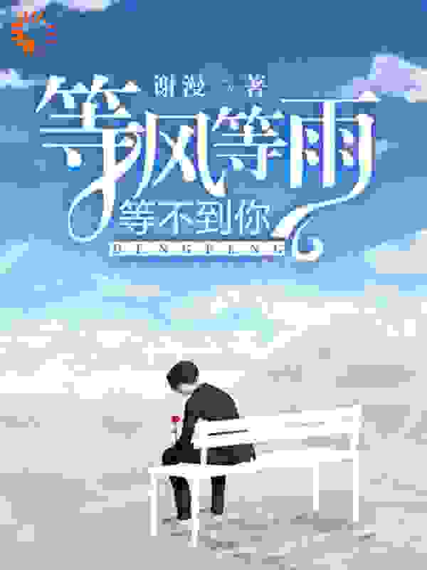 等风等雨，等不到你