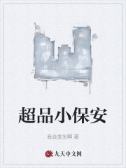 超品小保安