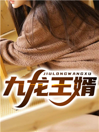 九龙王婿
