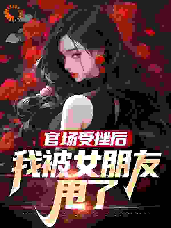 官场受挫后，我被女朋友甩了