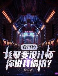 我可控核聚变设计师,你说我偷拍?
