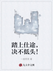 踏上仕途,决不低头!