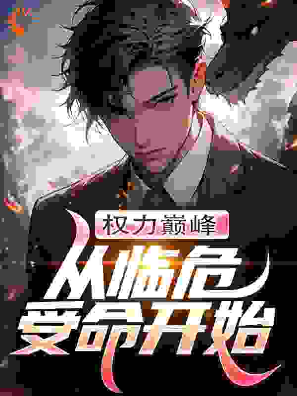 权力巅峰:从临危受命开始