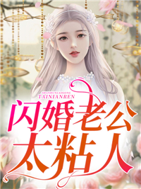 闪婚老公太粘人