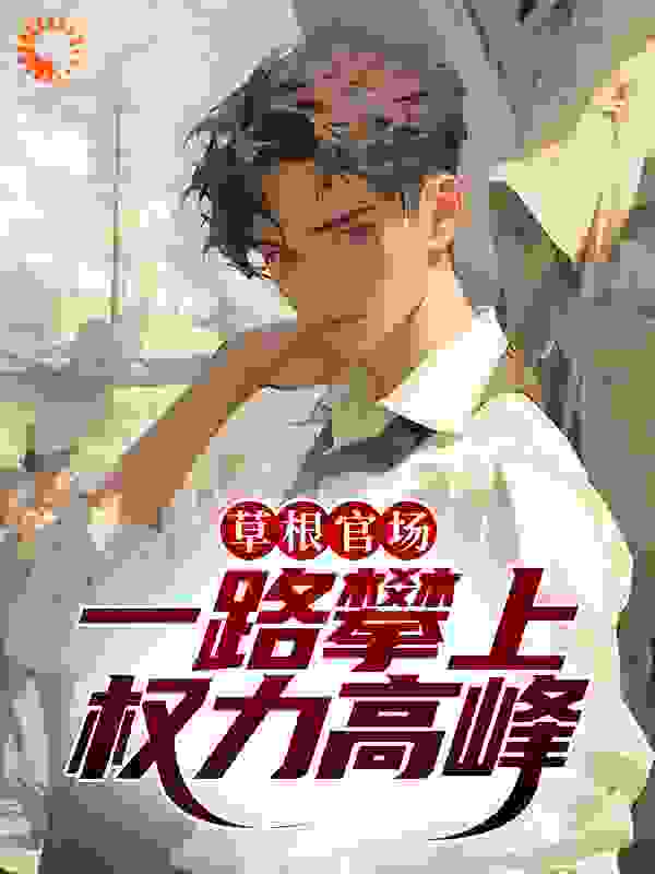 草根官场：一路攀上权力高峰