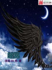 暗,翼
