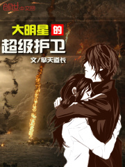 大明星的超级护卫