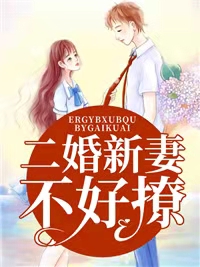 二婚新妻不好撩
