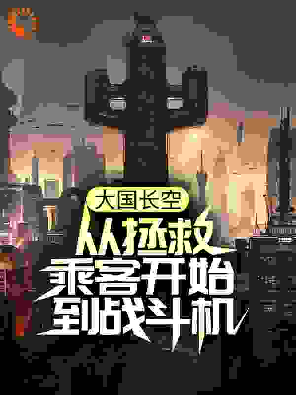 大国长空：从拯救乘客开始到战斗机