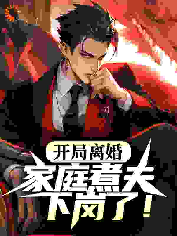 开局离婚：家庭煮夫下岗了！