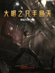 大明之只手回天