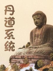 丹道系统