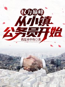 权力巅峰:从小镇公务员开始